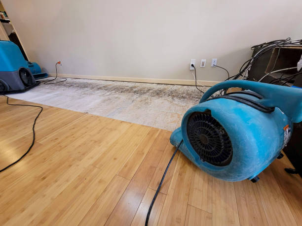 Professional Water Damage Repair technician working in Mark Center, OH